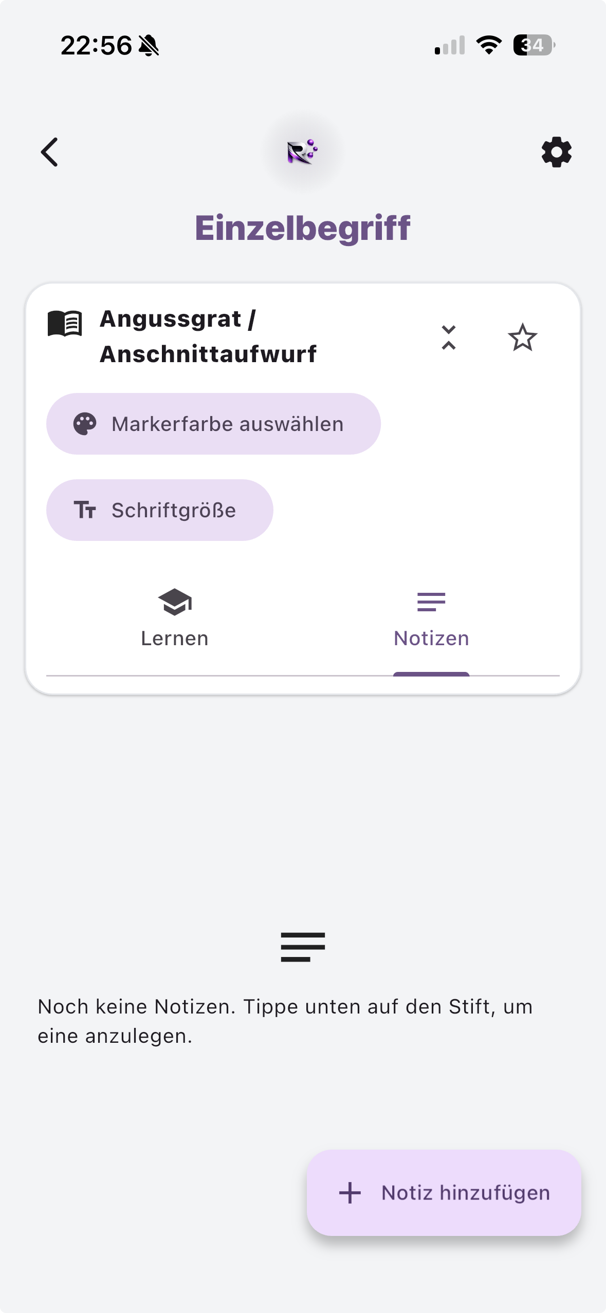 Einzelbegriff im Resinovo Lexikon mit Markierfarbe, Schriftgröße und Notizen